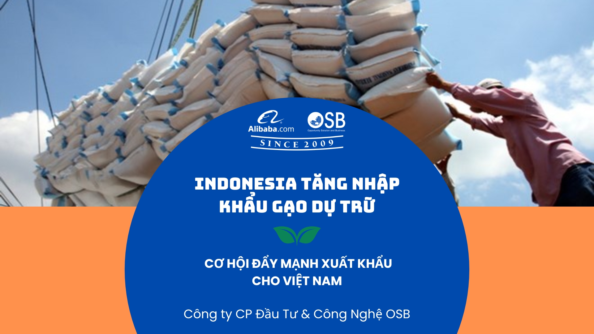 Indonesia tăng nhập khẩu gạo dự trữ, cơ hội đẩy mạnh xuất khẩu cho Việt Nam